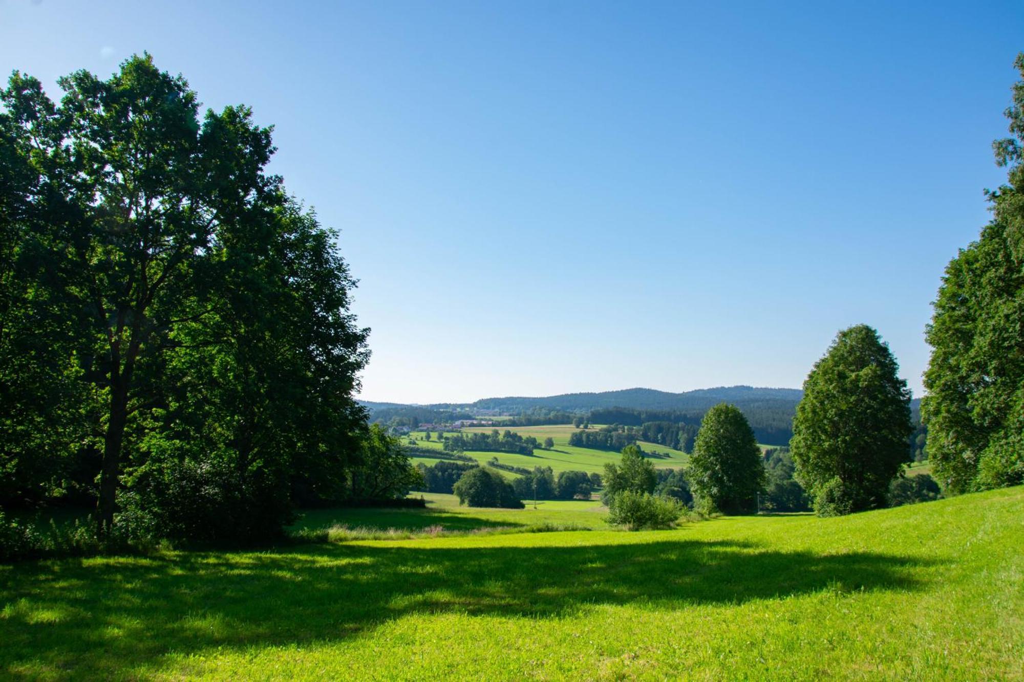 Naturchalets 7 Sentidos Bischofsmais Buitenkant foto